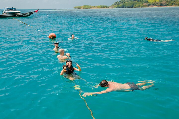 Pink Dolphin and Pig Island Snorkeling Tour from Koh Samui