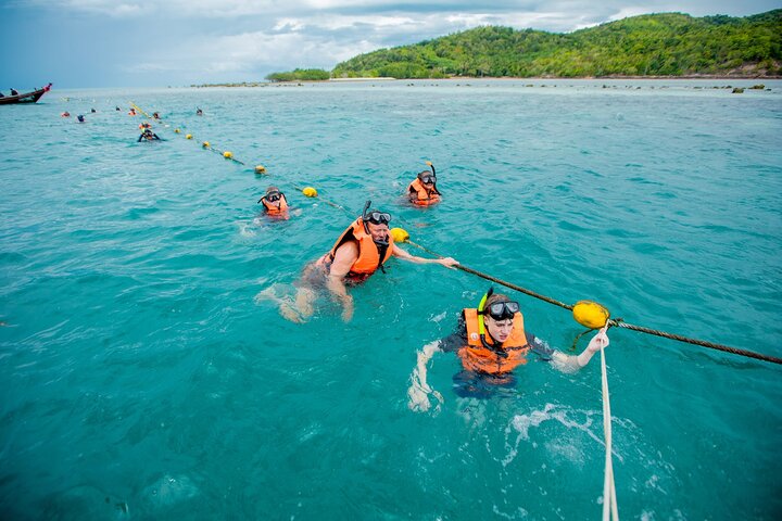 Pink Dolphin and Pig Island Snorkeling Tour from Koh Samui