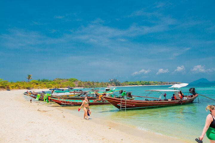 Pink Dolphin and Pig Island Snorkeling Tour from Koh Samui