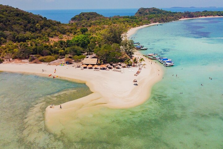 Pink Dolphin and Pig Island Snorkeling Tour from Koh Samui