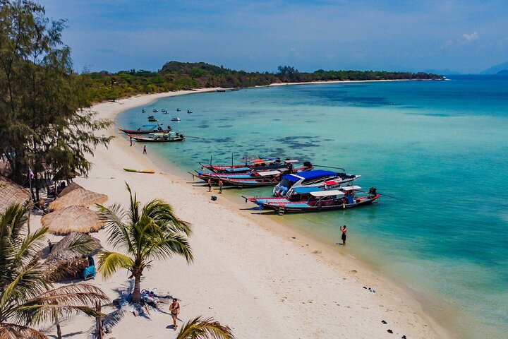 Pink Dolphin and Pig Island Snorkeling Tour from Koh Samui