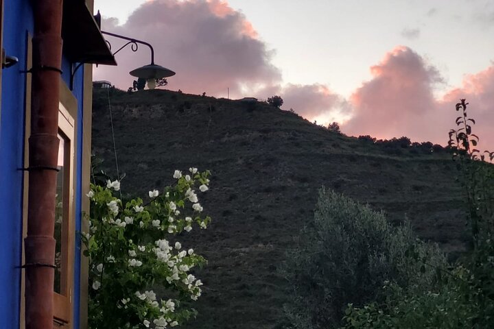 Cooking Class in a countryhouse near Cefalu'