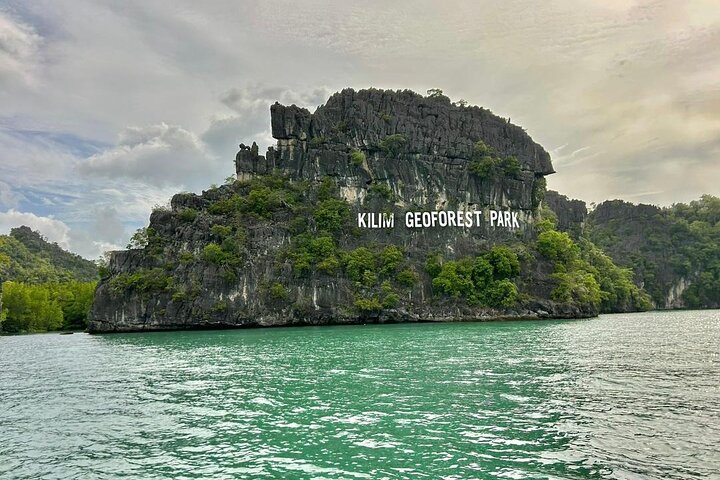 3 Hours Mangrove Boat Tour in Langkawi