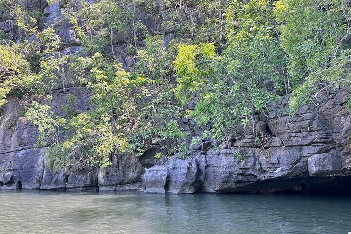 3 Hours Mangrove Boat Tour in Langkawi