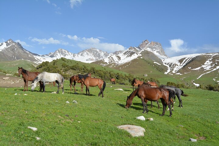 2-Day Kichi Alay Mountain Hiking Tour with Overnight Stay