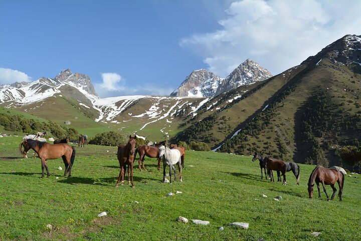 2-Day Kichi Alay Mountain Hiking Tour with Overnight Stay