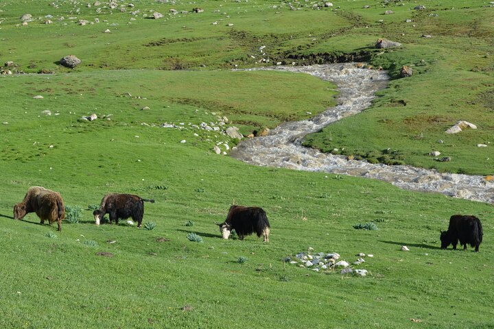 2-Day Kichi Alay Mountain Hiking Tour with Overnight Stay