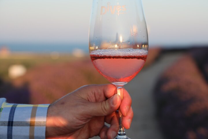 Nessebar and Wine Tasting in Dives Winery