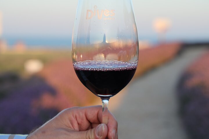 Nessebar and Wine Tasting in Dives Winery