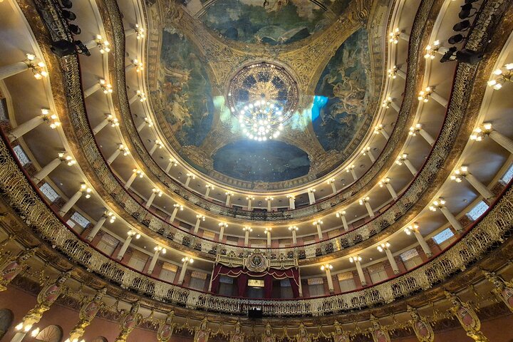 Manaus Private City Tour Amazonas Theater and the Hotel Pickup