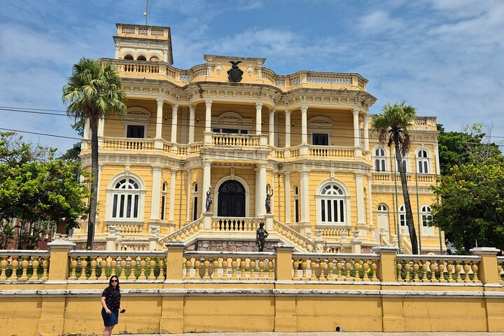Manaus Private City Tour Amazonas Theater and the Hotel Pickup