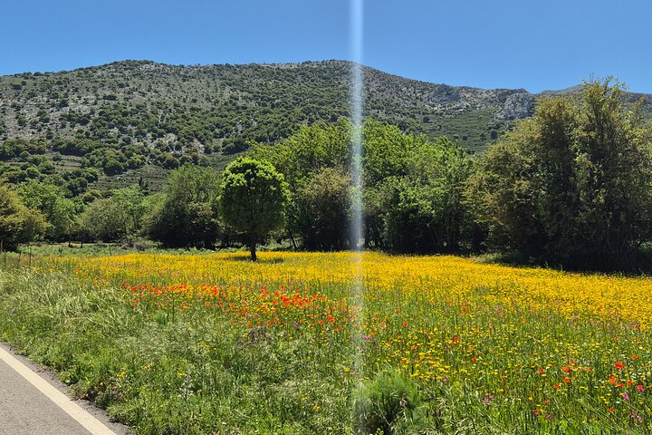 Knossos & lasithi plateau villages,Zeus's cave&olive oil Mill