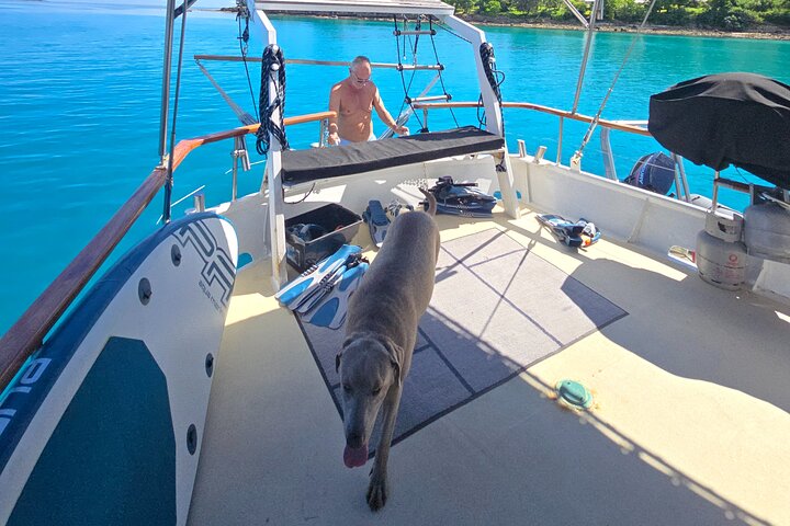 Major Tom -Sailing Day Cruise, with Snorkeling, Lunch & More!