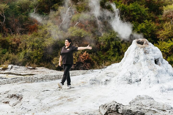 Wai-O-Tapu Thermal Wonderland, Rotorua, New Zealand