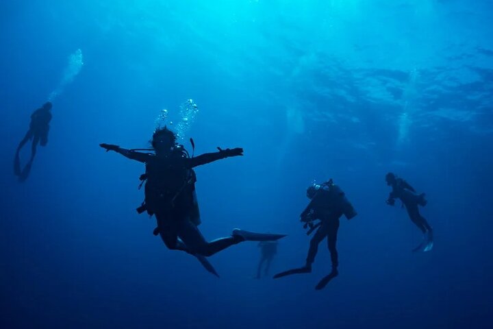 Diving experience on Ishigaki Island - including equipment rental - Shower available - Photo gift -