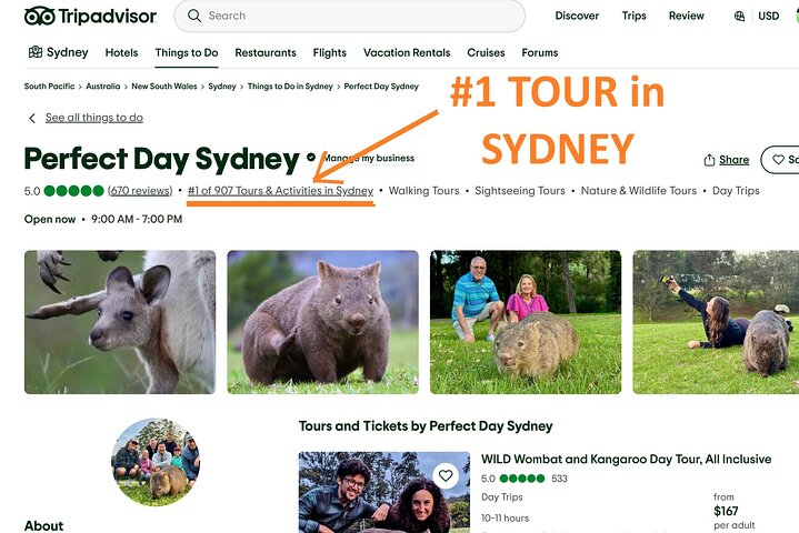 WILD Wombat and Kangaroo Day Tour, All Inclusive