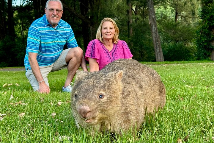 WILD Wombat and Kangaroo Day Tour, All Inclusive