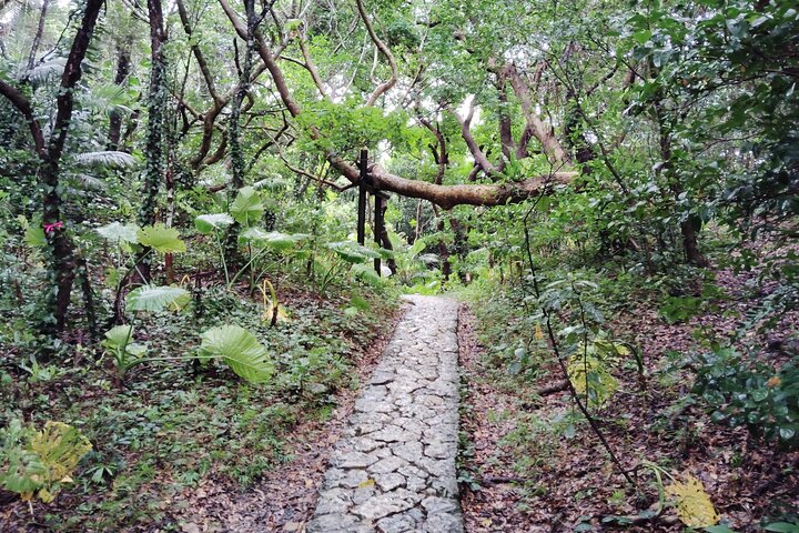 Okinawa: Sacred Sefa Utaki Walk into Ryukyu’s Spiritual