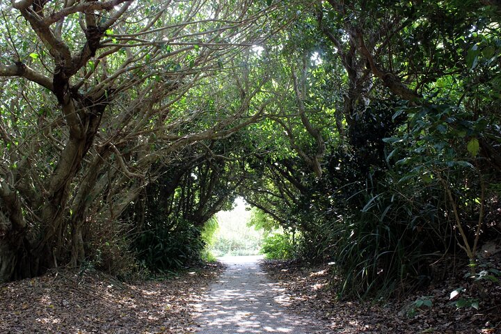 Okinawa: Sacred Island Tour to Kudaka’s Ryukyuan Holy Sites