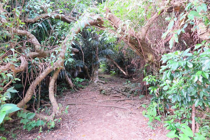 Okinawa: Sacred Island Tour to Kudaka’s Ryukyuan Holy Sites