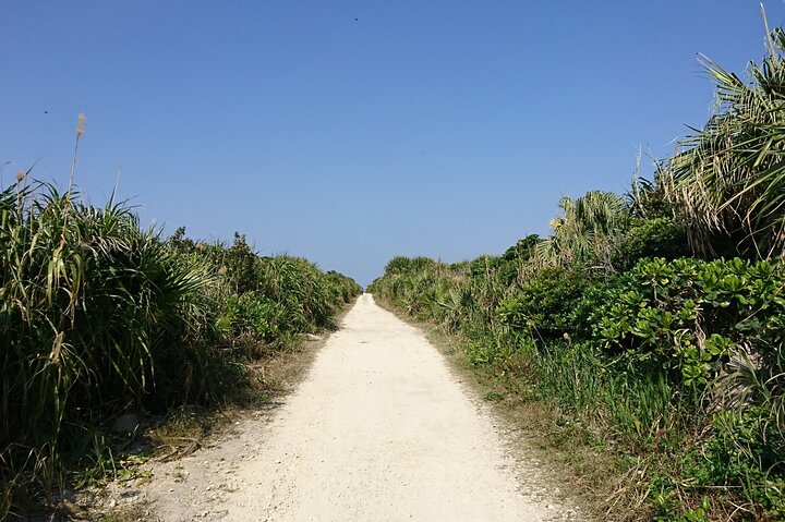 Okinawa: Sacred Island Tour to Kudaka’s Ryukyuan Holy Sites