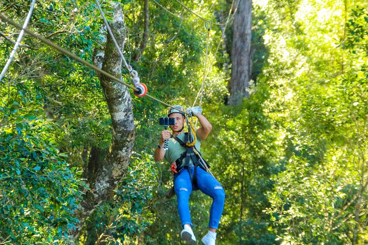 Tsitsikamma Canopy Tour