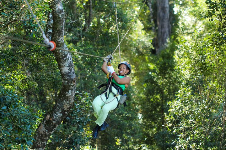 Tsitsikamma Canopy Tour