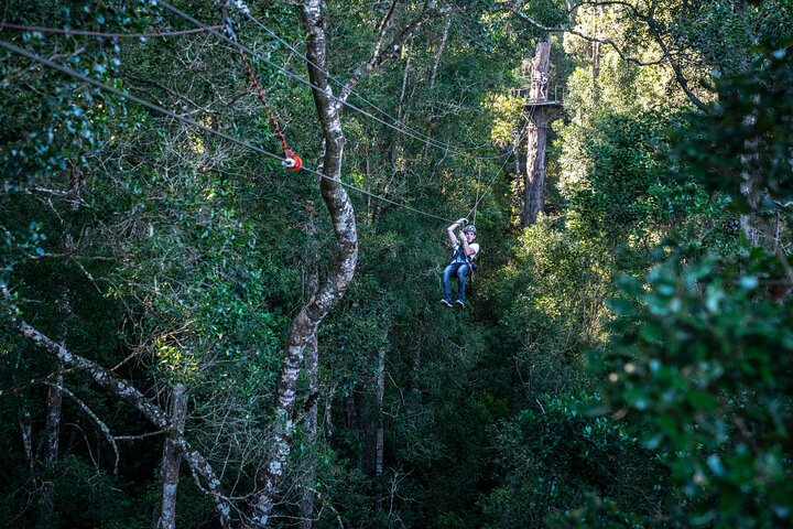 Tsitsikamma Canopy Tour