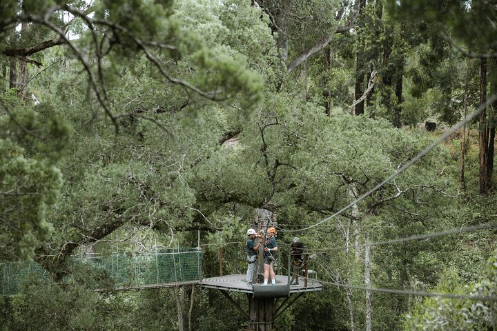Tsitsikamma Canopy Tour