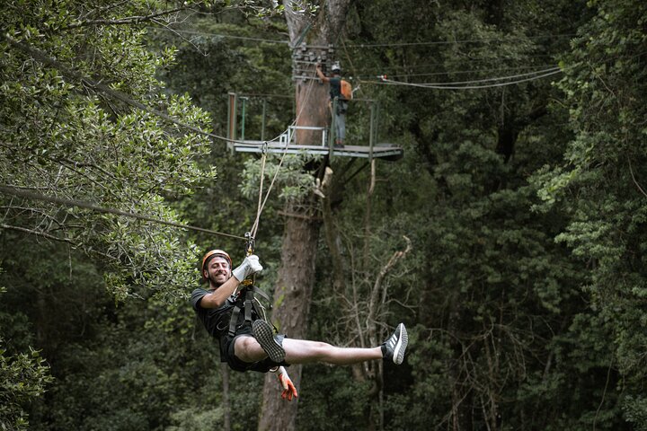 Tsitsikamma Canopy Tour