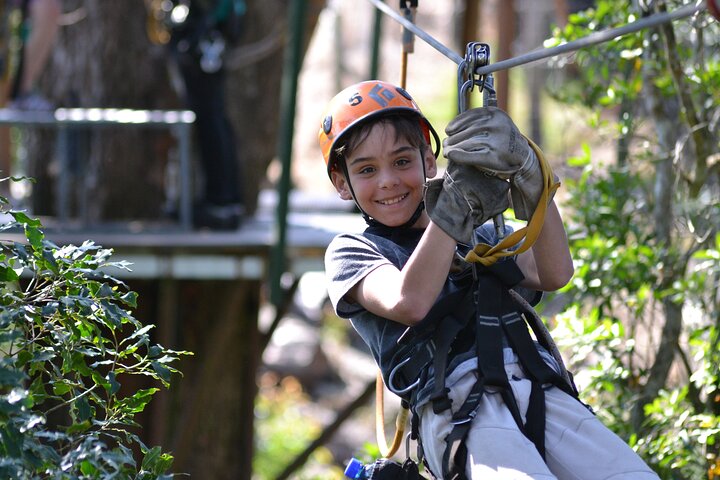 Tsitsikamma Canopy Tour