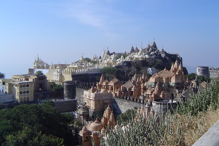 Glimpse Of Gujarat Tour