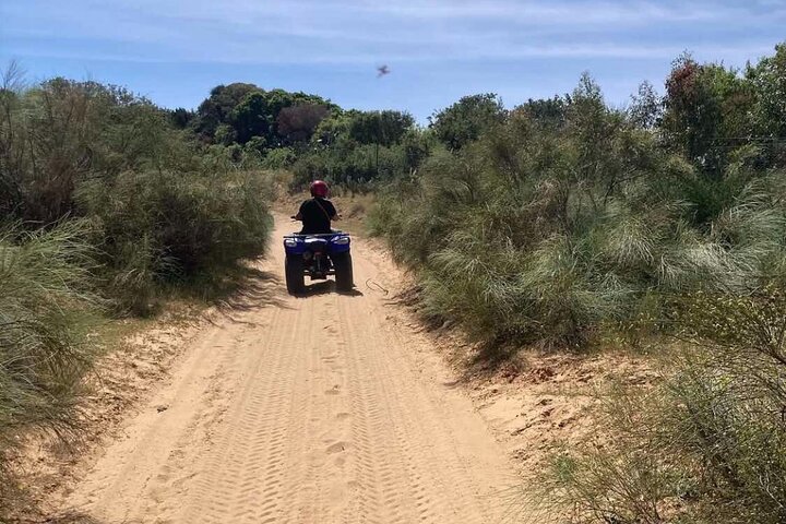Hammamet : Quad adventure through the hills