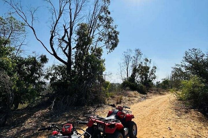 Hammamet : Quad adventure through the hills