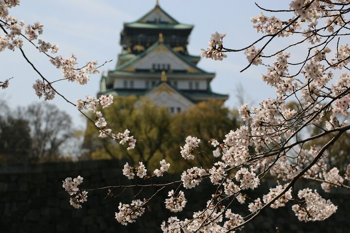 Private & Customizable Osaka Tour with a Local Guide