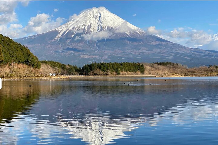 Fuji Highlights Group Car Tour by Shimizu Port with Local Guide