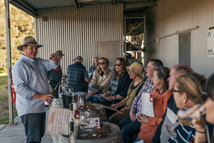 Newcastle: Boutique Hunter Valley Wine Tour