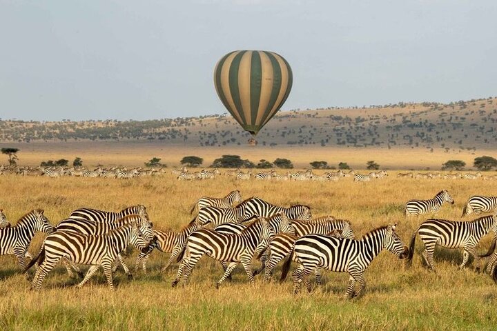 4 Day Exclusive Fly In Serengeti Migration Safari