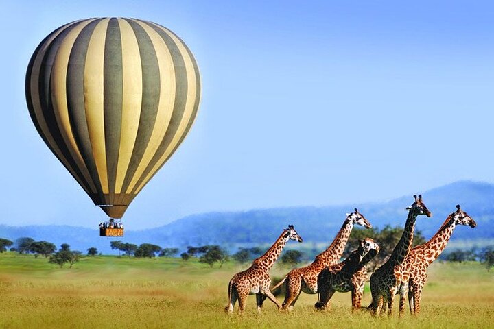 4 Day Exclusive Fly In Serengeti Migration Safari
