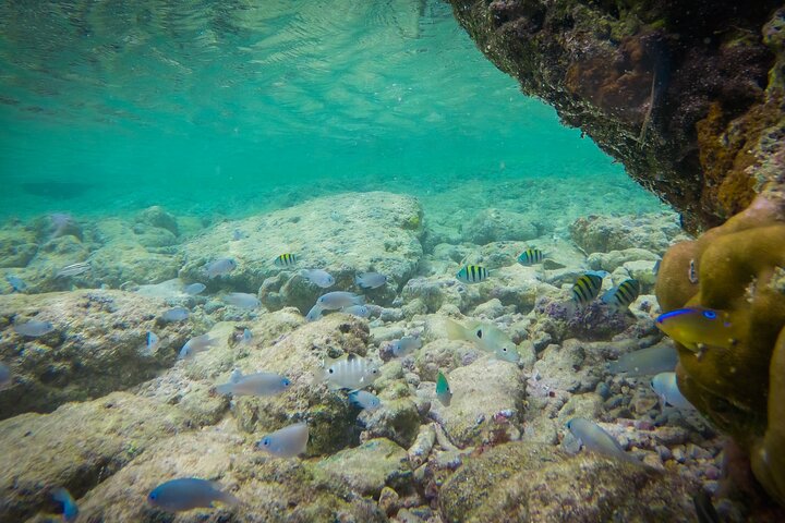 Andaman & Nicobar Islands Beach Paradise