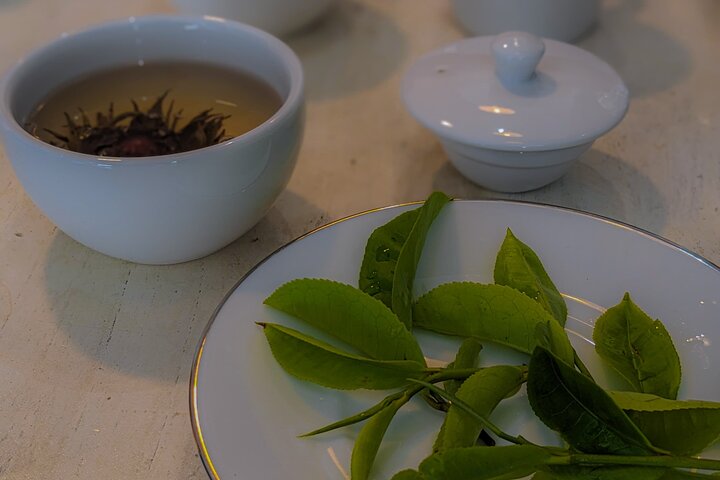 Ella's Ceylon Tea Plantation and Factory Tour