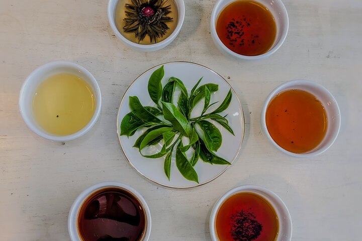 Ella's Ceylon Tea Plantation and Factory Tour