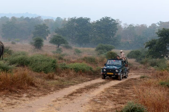 Tiger, Temple & Taj
