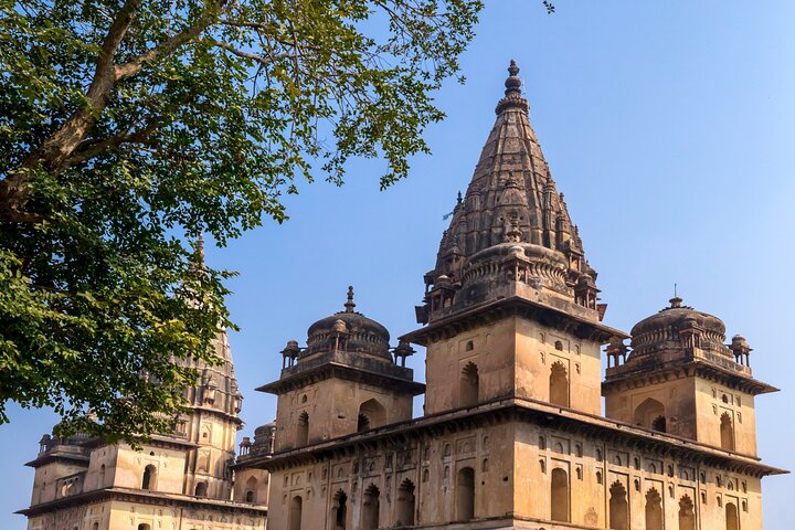 Tiger, Temple & Taj