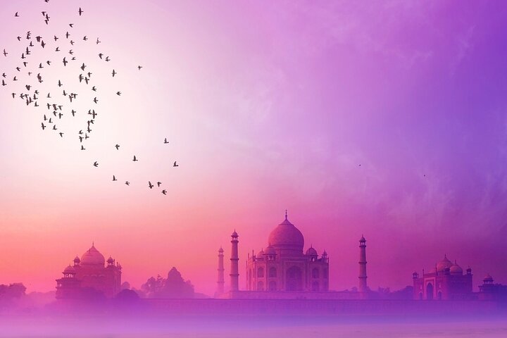 Tiger, Temple & Taj
