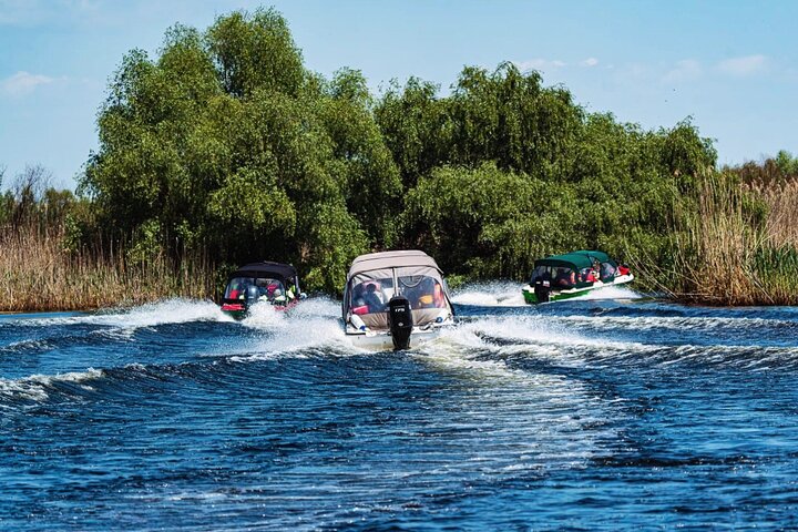 Danube Delta Tour from Tulcea to Mila 23, Letea Forest and Sulina