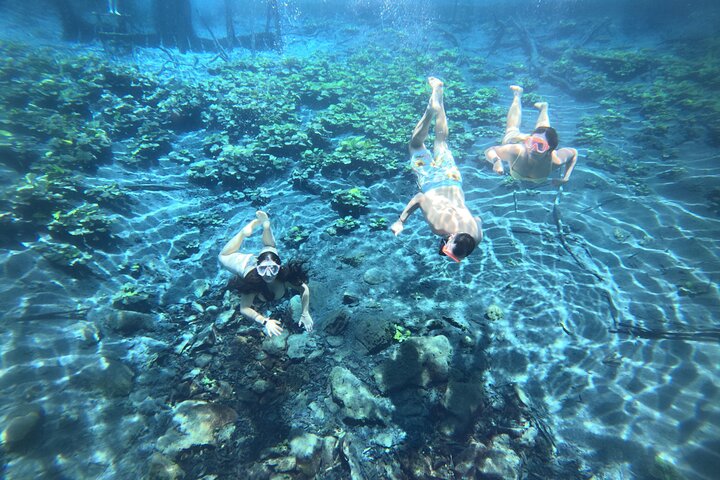 From Flowers Eco Tour to Blue Crater All Inclusive