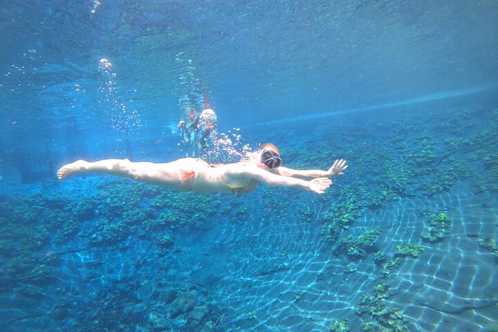 From Flowers Eco Tour to Blue Crater All Inclusive