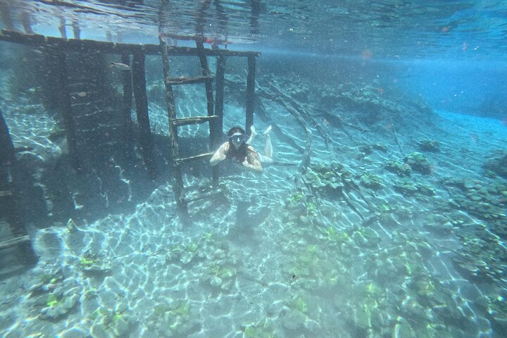From Flowers Eco Tour to Blue Crater All Inclusive