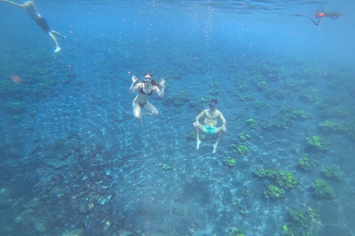 From Flowers Eco Tour to Blue Crater All Inclusive